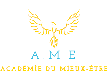 Académie du Mieux-Être